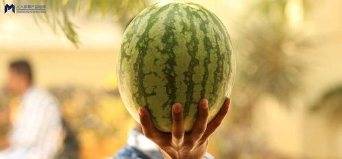 娱乐吃瓜为什么火爆,揭秘网络时代现象级话题的火爆生成